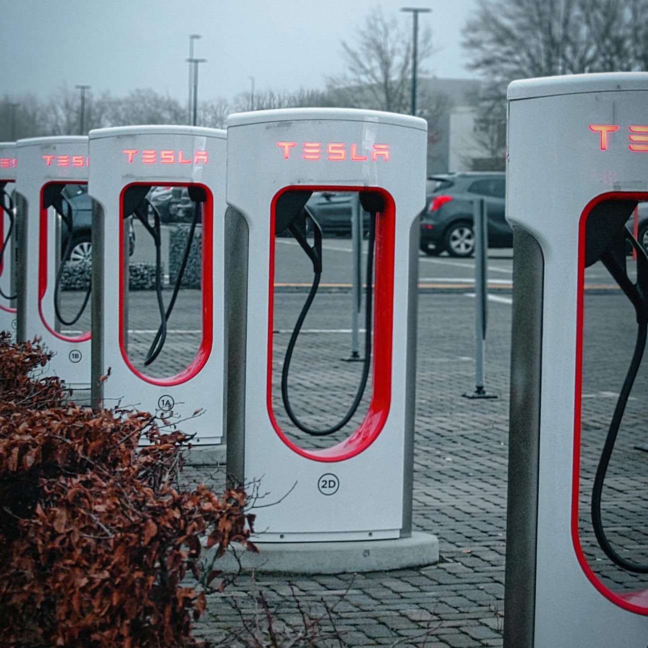 Line of Tesla charging stations in a misty urban environment, ready for electric vehicles.